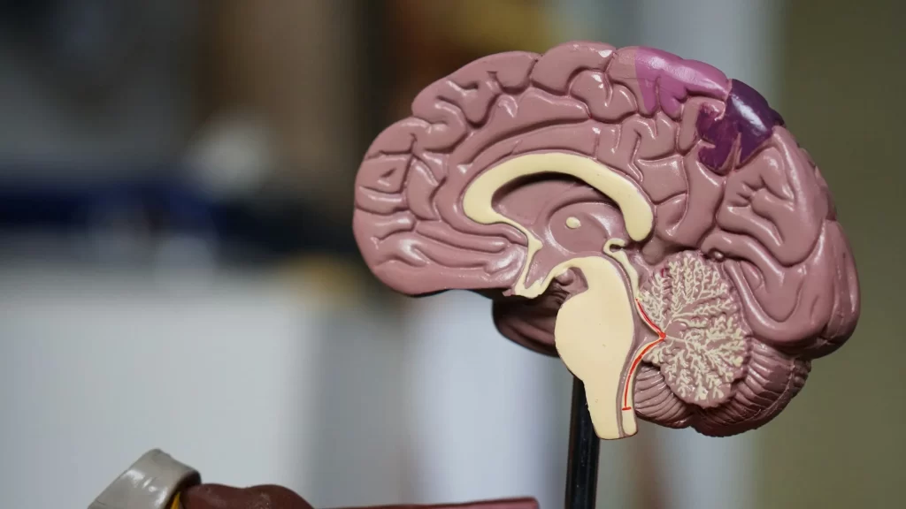 What Is World Brain Day